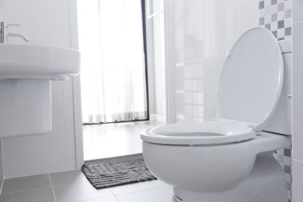Cost of Toilet Seat Installation in Missoula