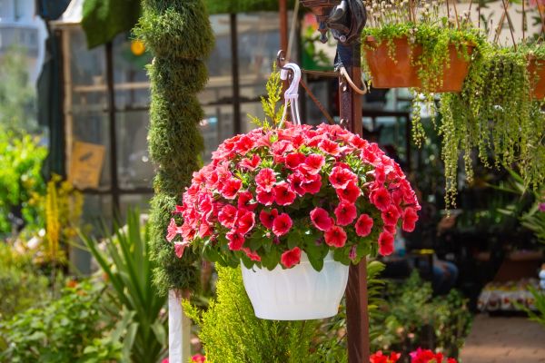 Hanging Planter Installation in Missoula
