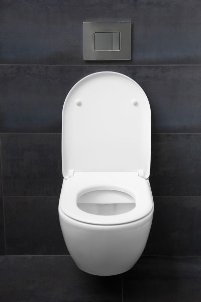 Toilet Lid Installation in Missoula