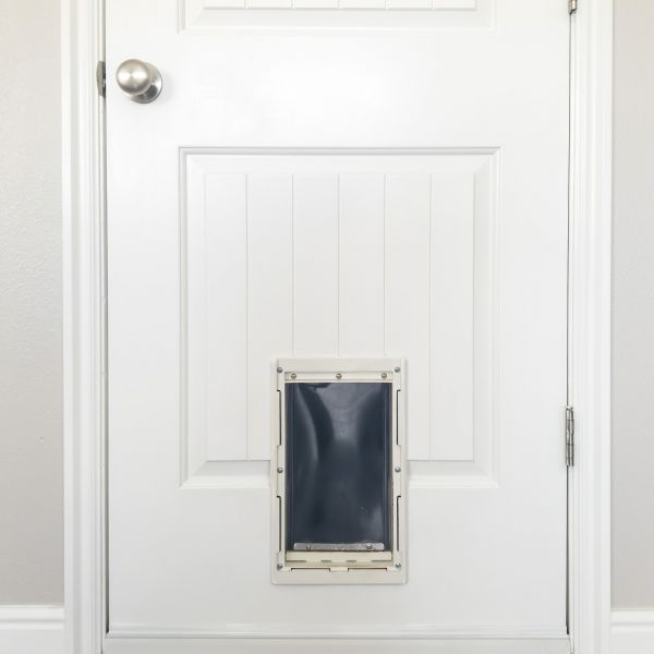 Pet Door Repair in Missoula