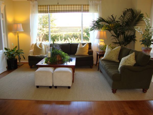 Cost of Valance Rod Installation in Missoula