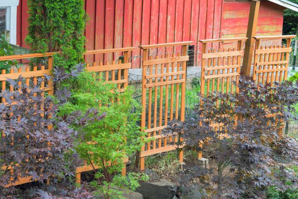 Wood Trellis Mounting in Missoula