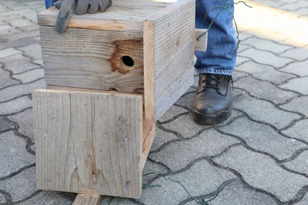 Cost of Birdhouse Mounting in Missoula