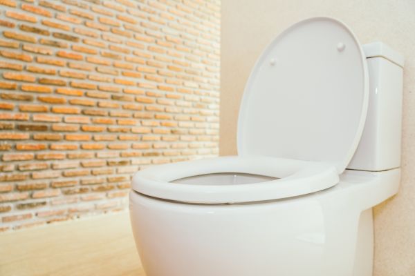 Toilet Seat Repair in Missoula